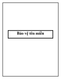 Bảo vệ tên miền