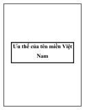 Ưu thế của tên miền Việt Nam