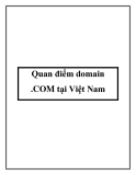 Quan điểm domain .COM tại Việt Nam