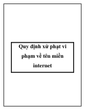 Quy định xử phạt vi phạm về tên miền internet