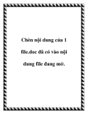 Chèn nội dung của 1 file.doc đã có vào nội dung file đang mở.