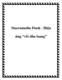 Macromedia Flash - Hiệu ứng vết dầu loang