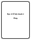 Rực rỡ lễ hội chanh ở Pháp