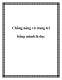 Chống nóng và trang trí bằng mành lá dọc