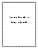 Copy nội dung tập tin bằng chuột phải