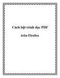 Cách bật trình đọc PDF trên Firefox