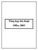 Tổng hợp thủ thuật Office 2003