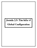 Joomla 2.5: Tìm hiểu về Global Configuration