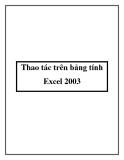Thao tác trên bảng tính Excel 2003