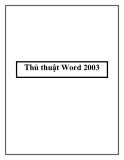 Thủ thuật về Word 2003