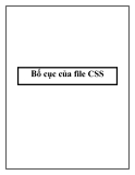 Bố cục của file CSS