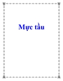 Mực tầu 