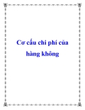 Cơ cấu chi phí của hàng không 