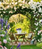Những lối vào nhà vườn thơ mộng với cổng hoa