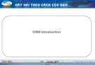 GSM Introduction