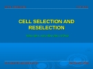 CELL SELECTION AND RESELECTION