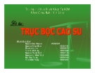 Luận văn: Trục Bọc Cao Su