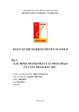 BÁO CÁO THÍ NGHIỆM CHUYÊN NGÀNH II Bài 1: XÁC ĐỊNH THÀNH PHẦN CẤT PHÂN ĐOẠN CỦA SẢN PHẨM DẦU MỎ