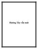 Hướng Tây vẫn mát