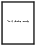 Căn hộ gỗ trắng toàn tập