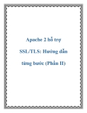 Apache 2 hỗ trợ SSL/TLS: Hướng dẫn từng bước (Phần II)