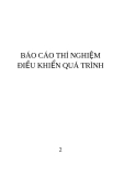 BÁO CÁO THÍ NGHIỆM  MÔN ĐIỀU KHIỂN QUÁ TRÌNH