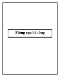 Móng cọc bê tông