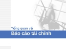 Chương 1 - Báo cáo tài chính