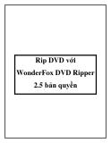 Rip DVD với WonderFox DVD Ripper 2.5 bản quyền