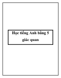 Học tiếng Anh bằng 5 giác quan