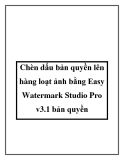Chèn dấu bản quyền lên hàng loạt ảnh bằng Easy Watermark Studio Pro v3.1 bản quyền