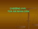 Tòa án nhân dân