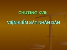 Viện kiểm soát nhân dân