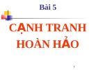 Bài giảng Kinh tế học vi mô  - Bài  5 Lựa chọn trong điều kiện rủi ro cạnh tranh hoàn hảo