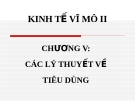 Lý thuyết về tiêu dùng