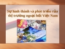 Sự hình thành và phát triển của thị trường ngoại hối Việt Nam