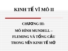  MÔ HÌNH MUNDELL – FLEMING VÀ TỔNG CẦU TRONG NỀN KINH TẾ MỞ 