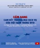 Dự án Hỗ trợ Thương mại Đa phương diện - Cam kết thương mại dịch vụ của Việt Nam trong WTO