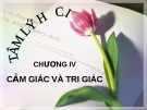 Tài liệu Cảm giác và tri giác