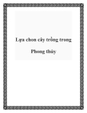 Lựa chon cây trồng trong Phong thủy