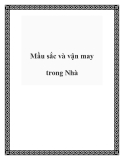 Mầu sắc và vận may trong Nhà