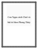 Con Ngựa cách Chơi và bài trí theo Phong Thủy