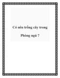 Có nên trồng cây trong Phòng ngủ ?