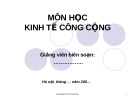 TỔNG QUAN VỀ VAI TRÒ CỦA  CHÍNH PHỦ TRONG NỀN KINH TẾ THỊ TRƯỜNG VÀ ĐỐI TƯỢNG NGHIÊN CỨU CỦA MÔN HỌC KINH TẾ CÔNG CỘNG