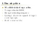   Định nghĩa thuế nhập khẩu