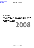 Báo cáo Thương mại điện tử Việt Nam năm 2008