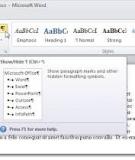 Hướng dẫn sử dụng Reveal Formatting trong Word 2010