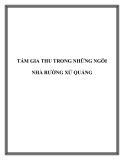 YẾU TỐ MỸ THUẬT TẤM GIA THU TRONG NHỮNG NGÔI NHÀ RƯỜNG XỨ QUẢNG