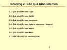 Bài giảng: Chương 2 - Các quá trình lên men