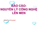 Báo cáo: Nguyên lý công nghệ lên men